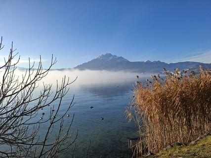 Fotografia z Maurer Silvia na trase