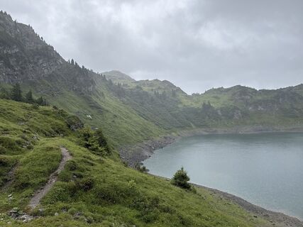 Foto von Grizzli entlang der Tour
