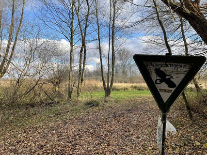 im Kranenburger Bruch