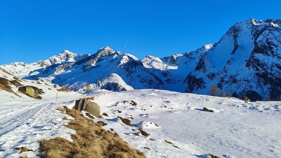 Photo de walrei le long du parcours