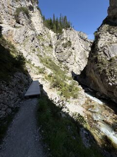 Photo de T Schreiber5 le long du parcours