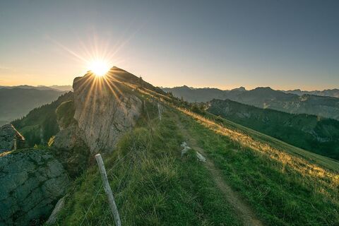 Auf dem Weg zur Winterstaude