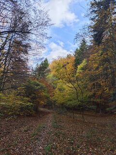 Foto från Katona Ferk Mariann under resans gång