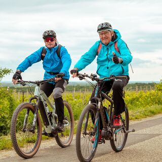 Zwei Radfahrer radeln vorbei an Weingärten.