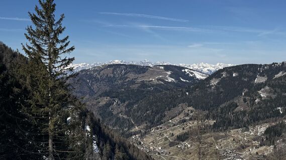 Fotografija s spletne strani ROBERTO BONIOTTI na poti