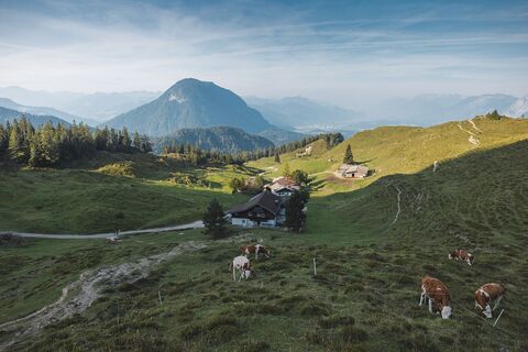 Scheffau_Walleralm_Wilder Kaiser