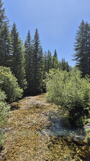 Foto von Claudia Maurer entlang der Tour