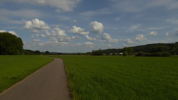 Elsenztalradweg