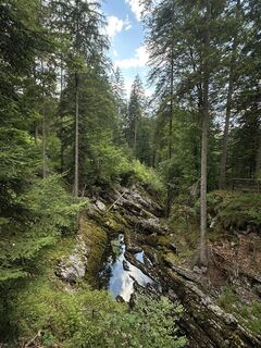 Foto von Iwona Sakowicz entlang der Tour