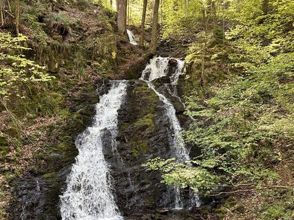 Fotografia z Norbert Herbig na trase