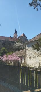 Fotografija s spletne strani Christine Fischer na poti