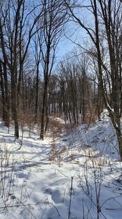 Fotografija s spletne strani Antonietta Havasi na poti