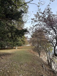 Foto von Gino Valentino Pensuni entlang der Tour