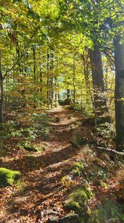 Fotó a Sebastian honlapról a túra során