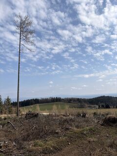 Zdjęcie z Teresa Sommer wzdłuż trasy