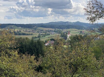 Fotografia z Tyler Lewis na trase
