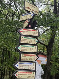 Photo de János Zsolt Mahr le long du parcours