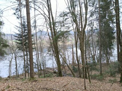 Foto von Ivanka macinkovic entlang der Tour