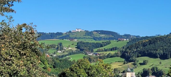 Foto de Nicky a lo largo del recorrido