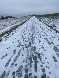 Foto von petermarx6 entlang der Tour