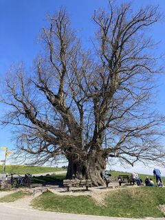 Fotografie z Toni Zimmermann na trase