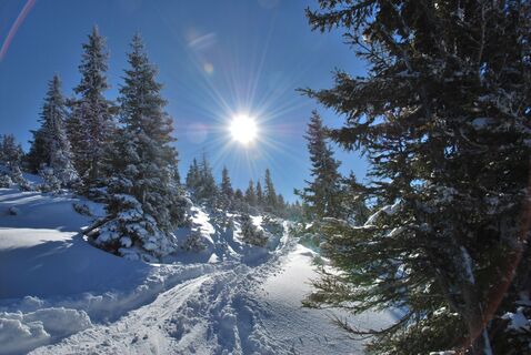 Durch die herrliche Winterlandschaft