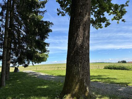 Fotografia z Lothar Bodingbauer na trase