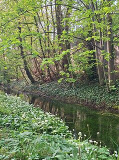 Fotografija s spletne strani Mimi na poti