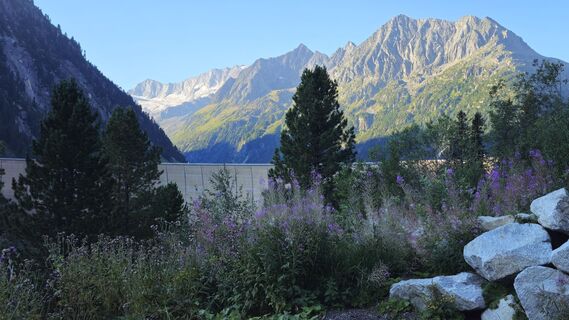 Fotografija s spletne strani Claus Spitzfaden na poti