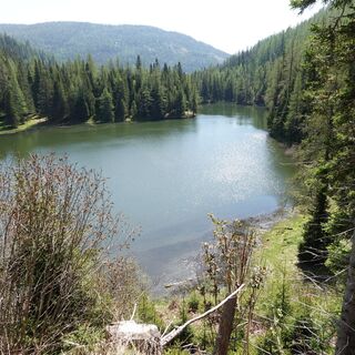 Flattnitzer See