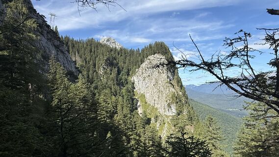 Fotografija s spletne strani Myriam De Winter na poti