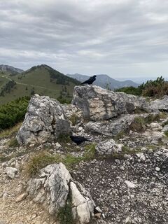 Fotografia z Sven Krieblin na trase