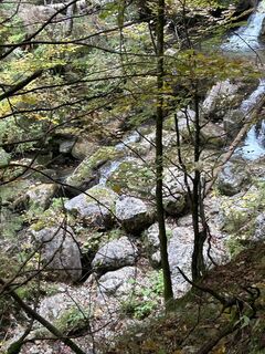 Photo de Stephan Gerstmeier le long du parcours