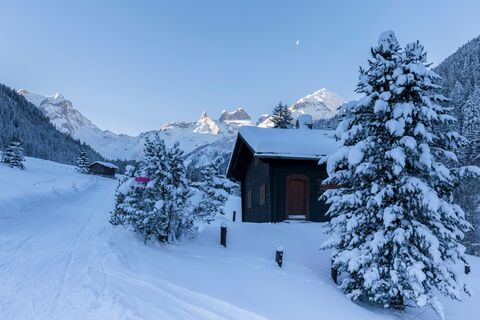 Winterwandern Gauertal