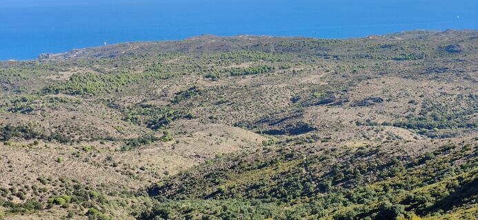 Photo de CPQS le long du parcours