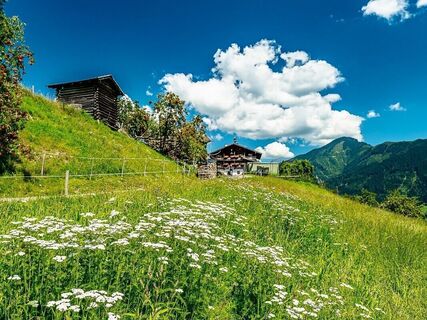 seespitz-zaunlückensteig_img_74275635