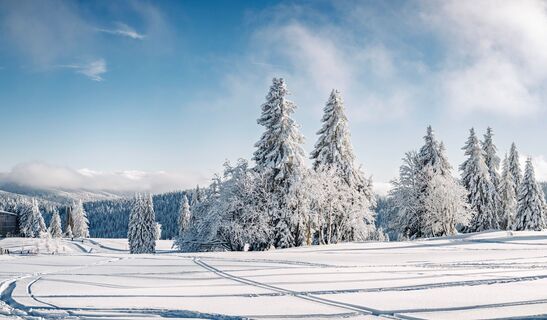 Winterlandschaft