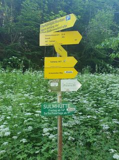 Photo de wanderelke le long du parcours