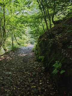 Foto de Björn Heun a lo largo del recorrido