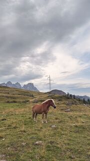 Fotografie z Luis Traub na trase