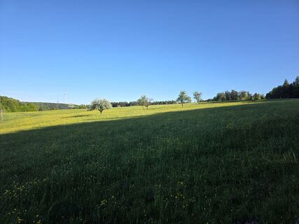 Foto von W B MA entlang der Tour