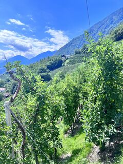 Foto von Jürgen Clement entlang der Tour