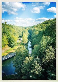 Photo de Weidenbaum le long du parcours