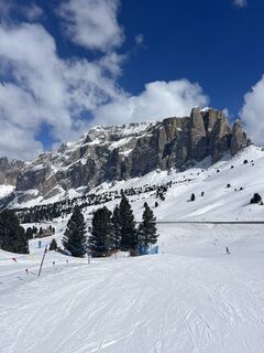 Fotografija s spletne strani Harry Bentley na poti