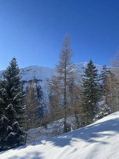 Fotografie z Rosmarie Brandner na trase