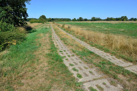 Plattenweg nahe der ehemaligen Grenze bei Rade