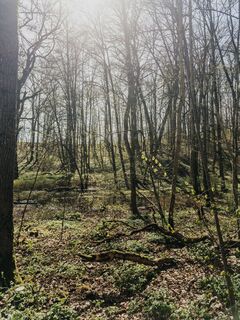 Waldlehrpfad Crailsheim