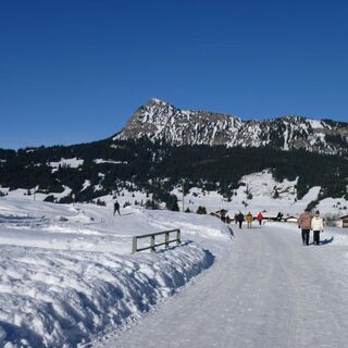 Fahrverbot auf dieser Straße (im Hintergrund der Einstein)