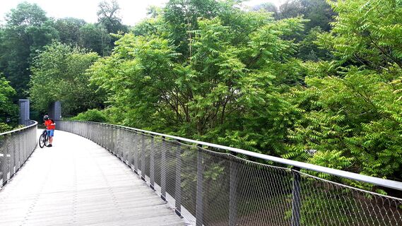 Brücke über den Grünen Zoo Wuppertal