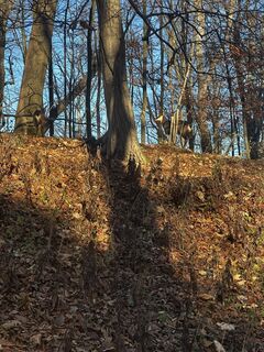 Photo from Wolfgang Gschmeidler along the tour